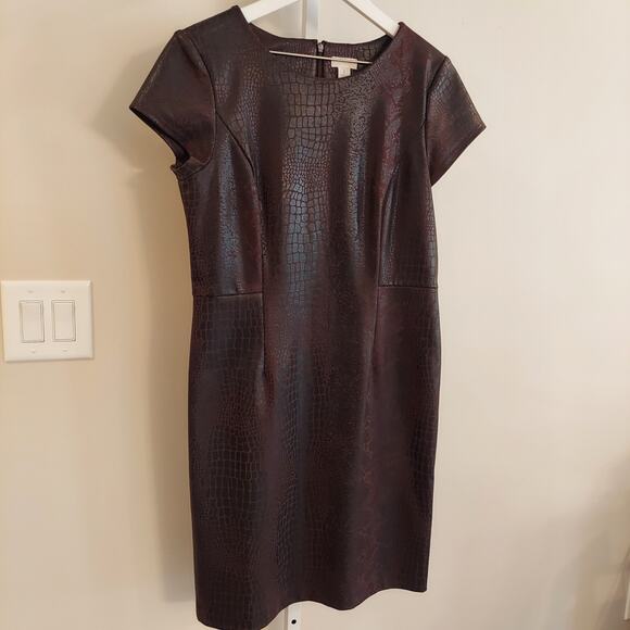 Chicos Sheath Dress Size 1 Medium Brown Mixed Animal Print Safari Knee Length - Picture 2 of 9